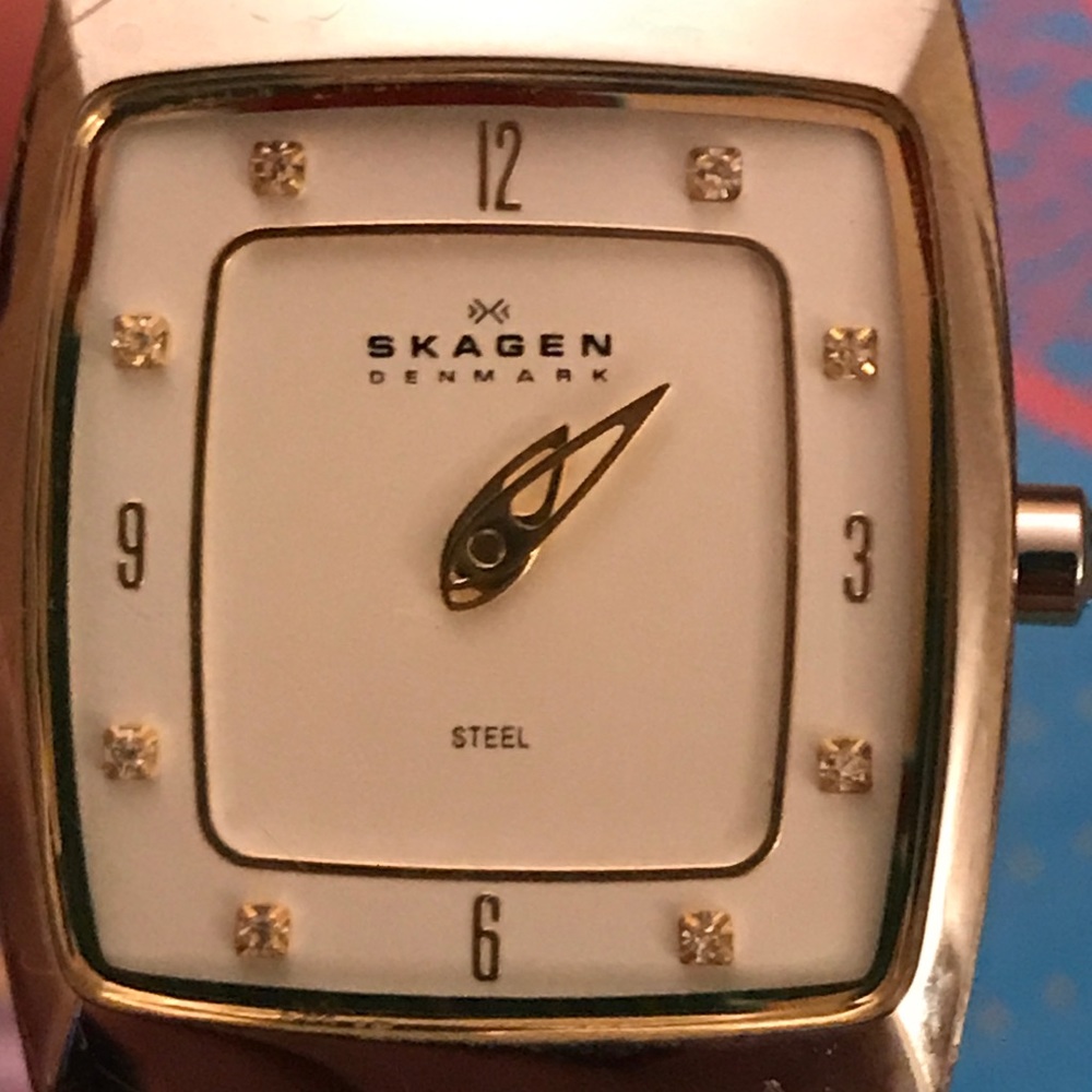 Skagen watch